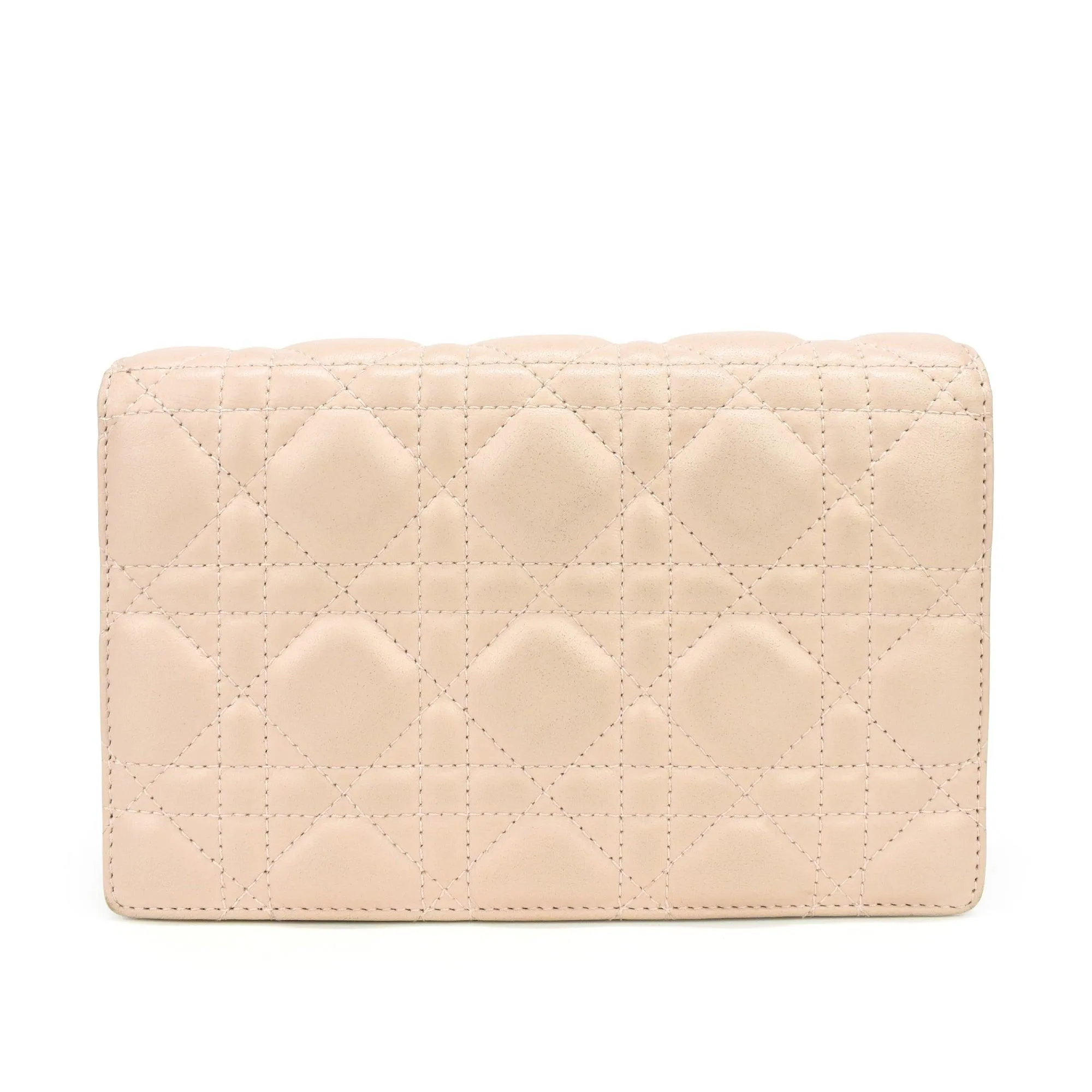 Christian Dior Wallet on Chain
