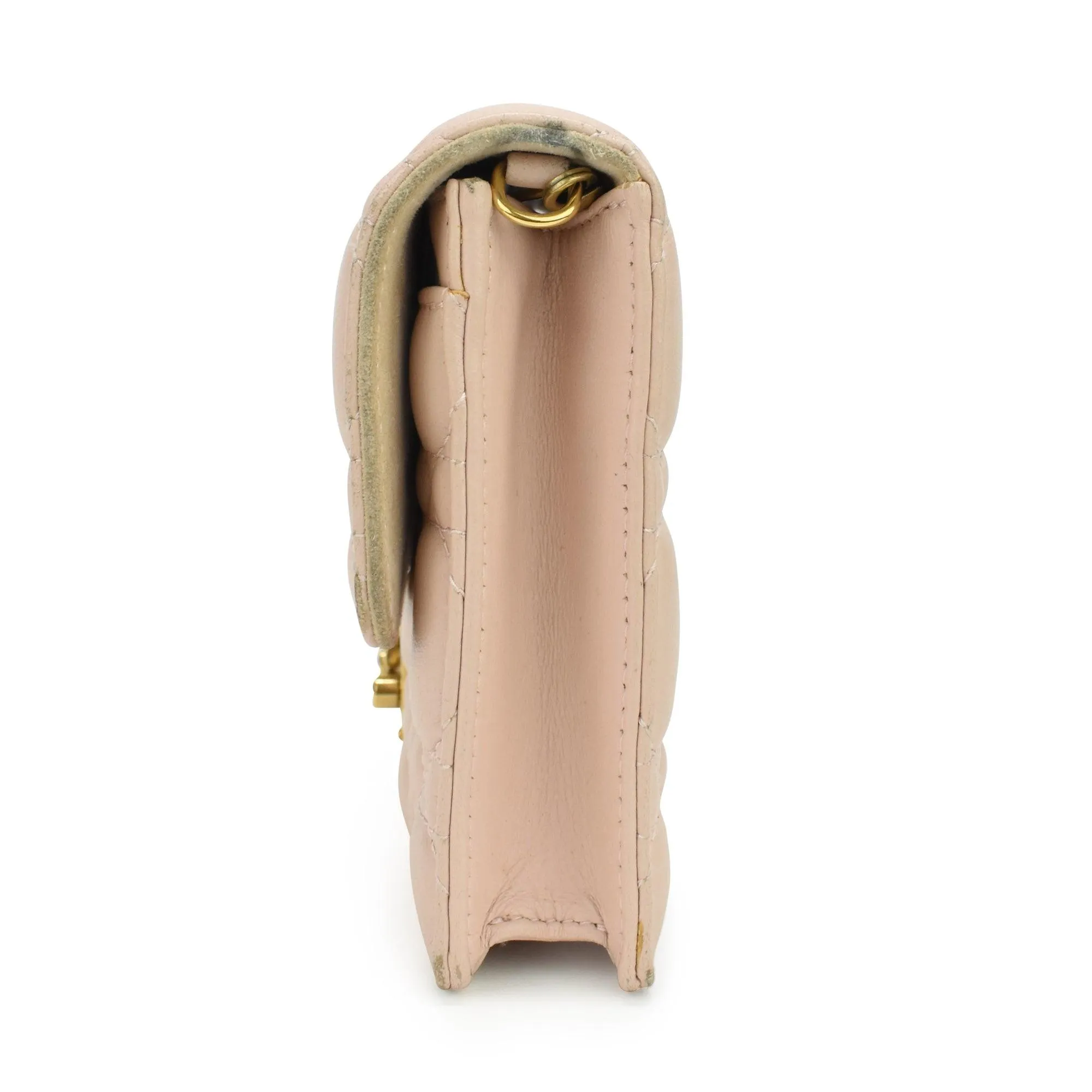 Christian Dior Wallet on Chain